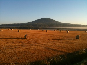 Malberg im Spätsommer